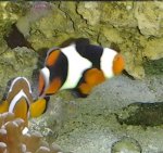 2013-02-22 14.50.22.jpg