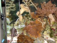 IMG_1440.jpg