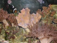 IMG_1439.jpg