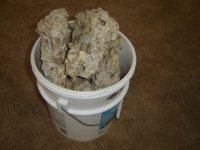 30lbs bucket of dead rocks 001.JPG