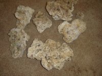 30lbs bucket of dead rocks 002.JPG