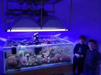 fish room tank.jpg