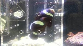 20130330_160644.jpg