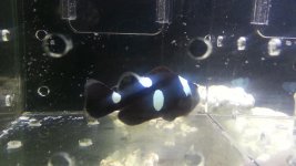 20130330_160704.jpg