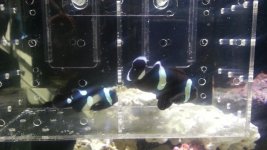 20130330_160706.jpg