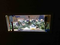 ImageUploadedByReefs1357098864.067030.jpg