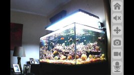 ImageUploadedByReefs1367097709.154743.jpg
