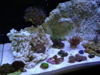 ImageUploadedByTapatalk1357145818.819226.jpg