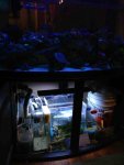 ImageUploadedByReefs1357177703.619221.jpg