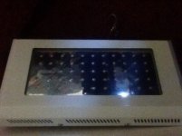 ImageUploadedByReefs1374857274.125052.jpg ImageUploadedByReefs1374857274.125052.jpg