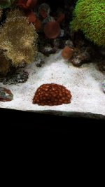 20130608_134101.jpg
