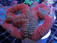 7.11.13-1-10.jpg