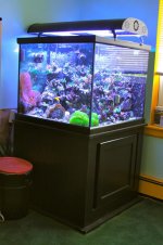 IMG_8328.jpg
