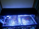 20130307_171535_2.jpeg