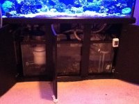 ImageUploadedByReefs1370773911.472514.jpg ImageUploadedByReefs1370773911.472514.jpg