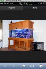 ImageUploadedByReefs1353346000.901721.jpg