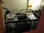 IMG_0018.jpg