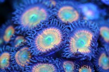 IMG_2557.JPG
