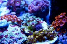 IMG_8294.jpg