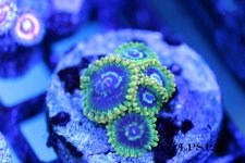 IMG_2647.JPG