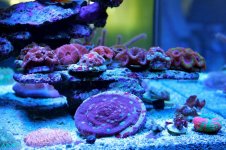 IMG_8310.jpg