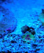 IMG_8241.jpg