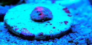 IMG_8321.jpg
