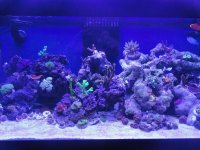 fts.jpg