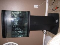 ImageUploadedByReefs1367269375.262181.jpg
