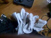 Socks.jpg