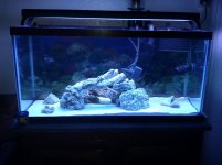 IMG_20110512_222024.jpg