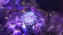 20131019_122428.jpg