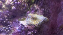 20131019_122445.jpg
