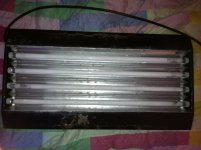 ImageUploadedByReefs1357328412.793945.jpg