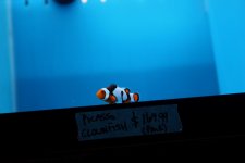 IMG_3507.JPG