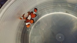 20131019_173519.jpg