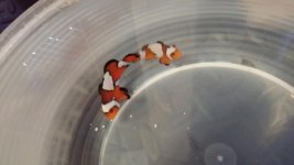 20131019_173526.jpg