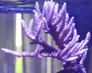 IMG_8873.jpg