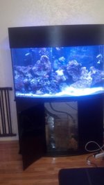 IMG_20130727_160021_698.jpg
