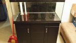 20131127_074017_resized.jpg