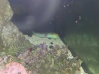 20131018_204520.jpg