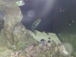 20131018_204538.jpg