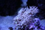 IMG_4597.jpg