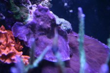 IMG_4607.jpg