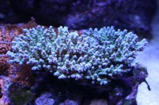 IMG_4605.jpg