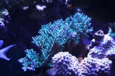 IMG_4604.jpg
