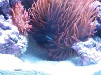 IMG_20131012_142239.jpg