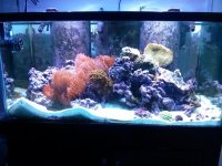 IMG_20131012_220641.jpg