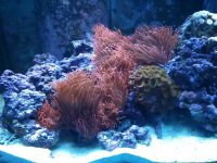 IMG_20131012_220802.jpg