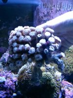 IMG_20131012_222717.jpg